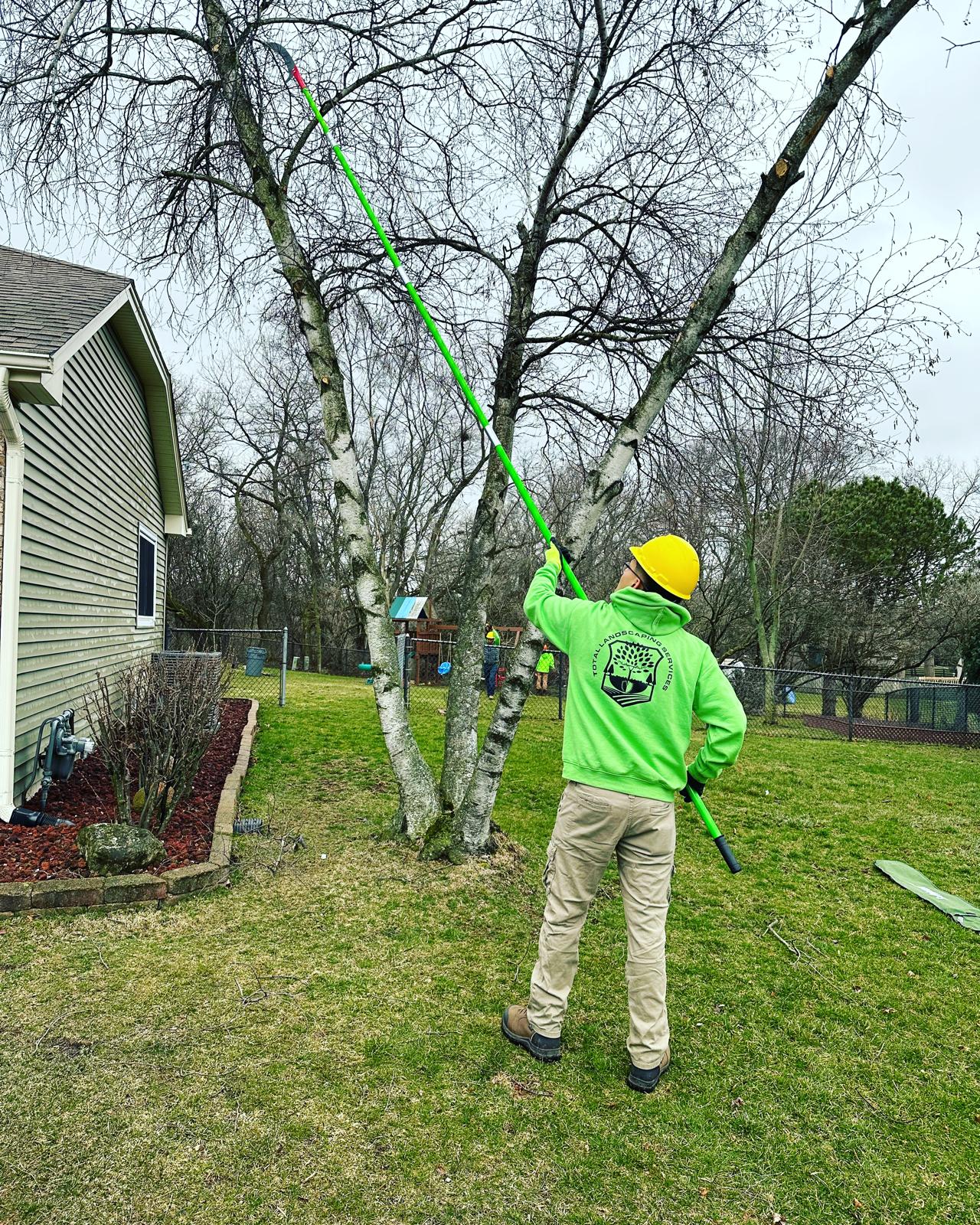 Tree Care