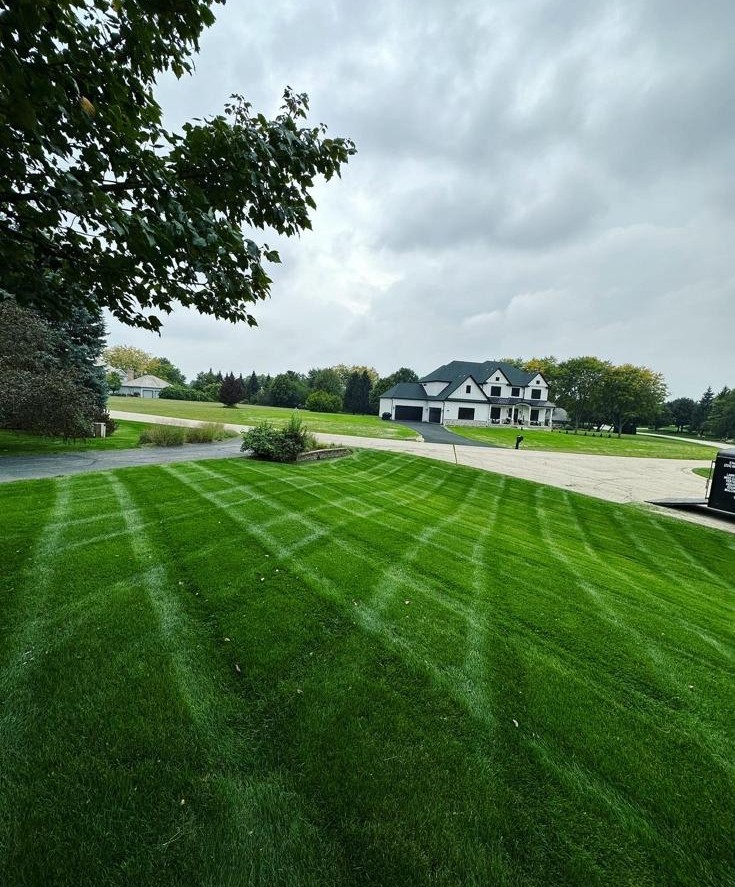 Perfectly mowed lawn