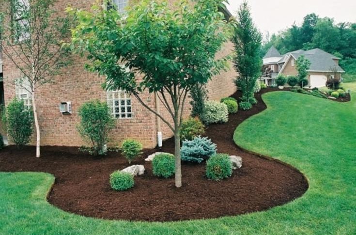 Landscape design with mulch and trees