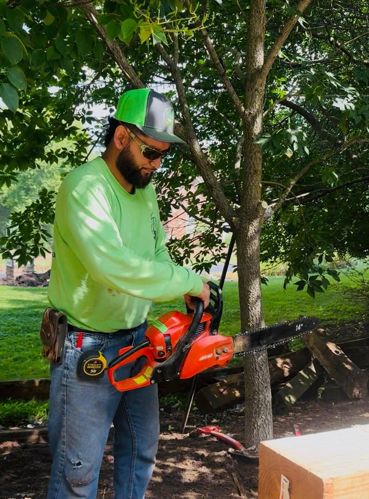 Tree Care 8